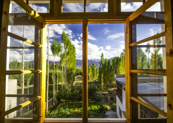 Wood Window Replacement